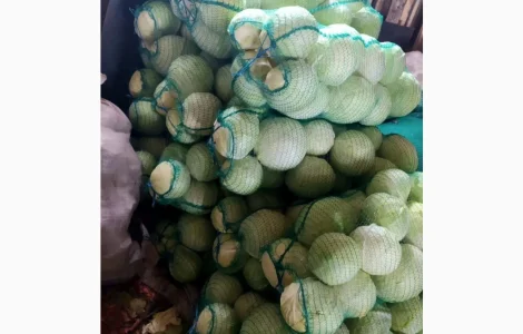 Продам капусту