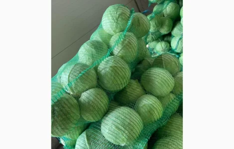 Продам капусту