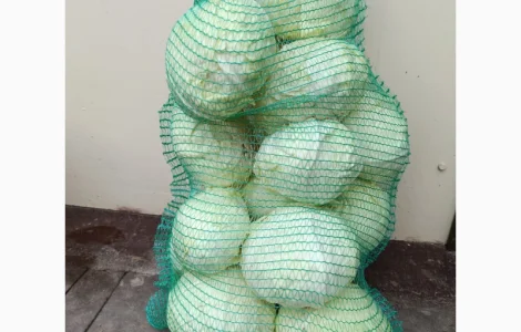 Продам капусту середньостиглу Тореадор