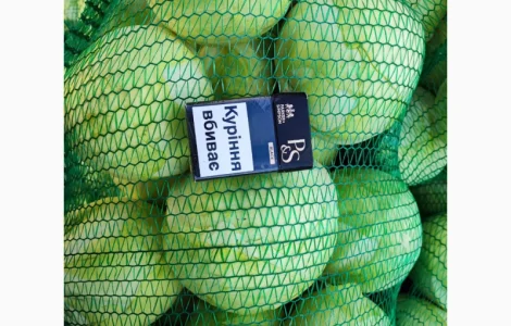 Продаємо капусту на торгівлю та шинковку