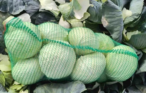 Продам капусту Агресор оптом