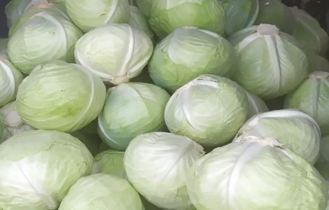 Продам капусту Агресор