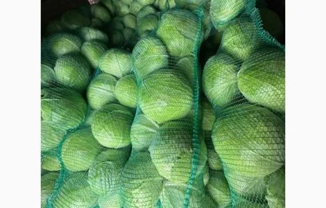 Продам капусту