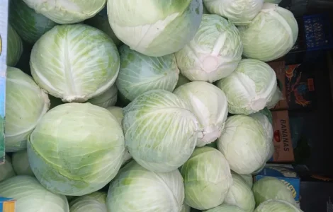 Продам капусту сорт центурион