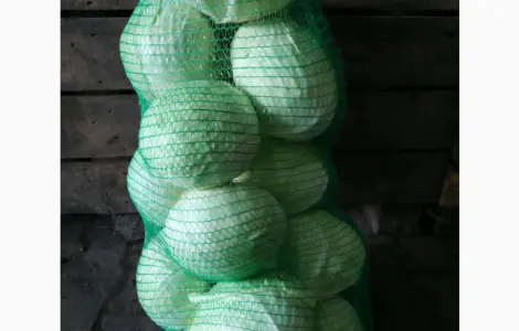 Продам капусту сорт Агрессор