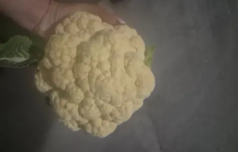 Продам капусту цвітну