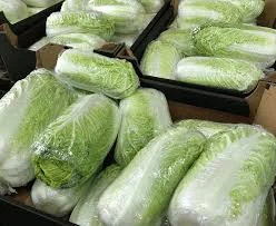 Приймаємо замовлення на пекінську капусту гуртом. Від 10 тонн