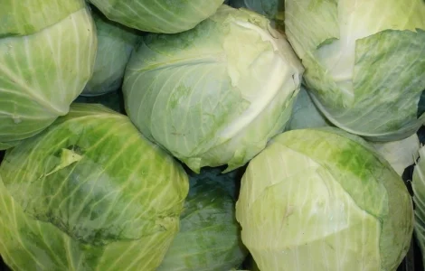 Куплю белокочанную капусту на переработку
