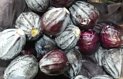 Продам капусту червоно качану