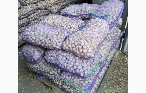 Товарний часник/опт/чеснок товарный