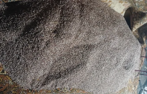 Куплю воздушку часника повітряну кульку оптом