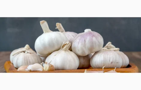 Часник для бюджетних організацій з ПДВ