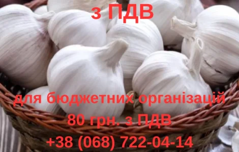 Продам часник з ПДВ для бюджетний організацій