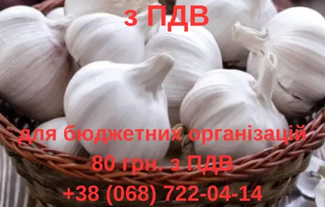 Продам часник з ПДВ для бюджетний організацій