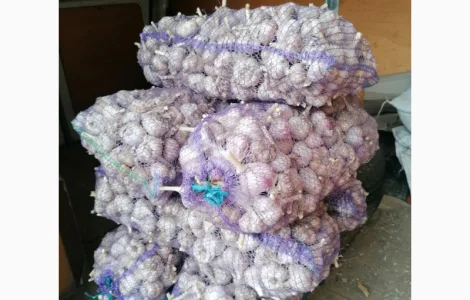 Часник бронь 26 рік- Любаша