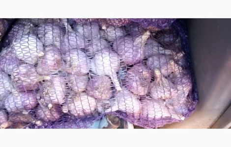 Часник на їжу