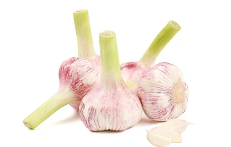 Куплю часник/чеснок