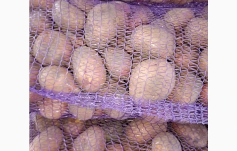 Продам картоплю