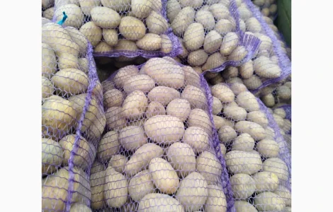 Продам картоплю