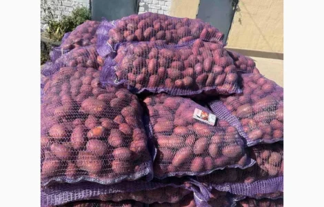 Куплю картоплю червоних сортів від 20 тон