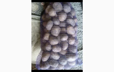 Продам картоплю