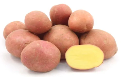 Реалізуємо насінневу картоплю сорту Есмі