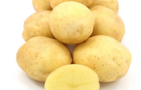 Продаж насінневої картоплю сорту Саншайн. Перша репродукція. Роздріб від 20 кг