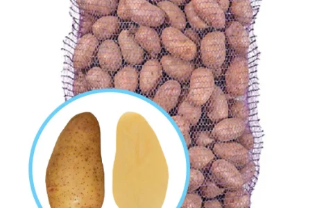 Маємо на продаж насінневу картоплі Тирас. Перша репродукція. Роздріб від 20 кг