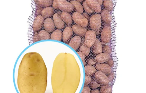 Реалізуємо насінневу картоплю. Сорт Гранада