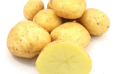 Продаж насінневої картоплі сорту Арізона. Перша репродукція. Роздріб від 20 кг
