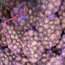 Посадкова картопля Саншайн Полтавська область купити якісну