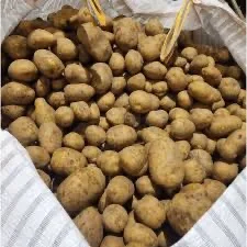 Насіннєва картопля Полтавщина - Коломбо