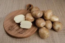 Посадкова картопля у Чернігові - Ред Леді