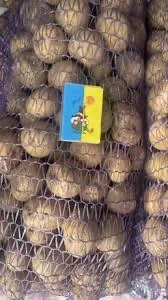 Насіннєва картопля Саншайн Одеська область купити з доставкою