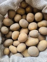Посадкова картопля Арізона Закарпатська область купити якісну