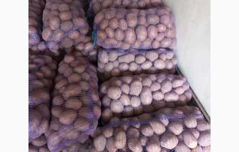 Продам картоплю