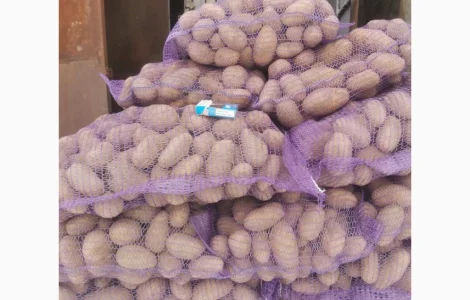 Гранада картопля