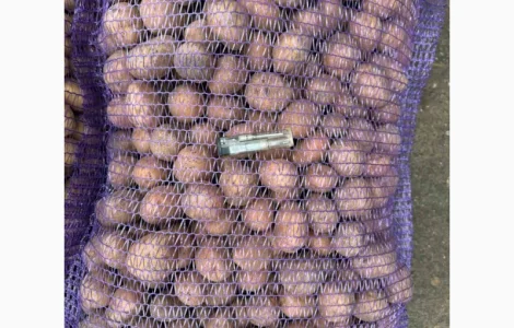 Продам насіння картоплі сорту Беллароза