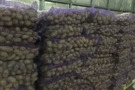 Сорт Королева Анна насіннєва картопля