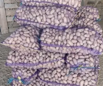 Насіннєва картопля Гранада 1-2 репродукція