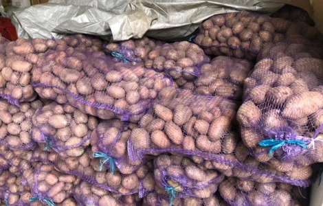 Продам картоплю