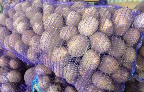 Семенной картофель Аризона 1-2 репродукция