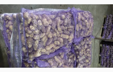 Продам картоплю гранаду