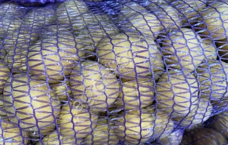 Насіннєва картопля Арізона 1-2 репродукція