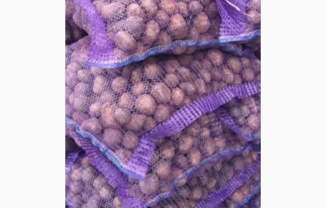 Насіннєва картопля Беллароза 1-2 репродукція