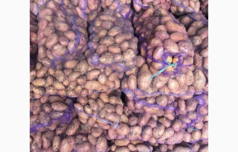 Продам картоплю від фермерів та постачальників з 10 тонн