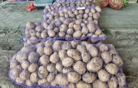 Продается картофель нескольких сортов от поставщика, 20 тонн