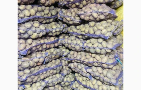 Картопля домашня