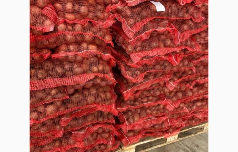 Картопля сорт Констанс ( крупна) 1 ґатунок