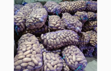 Продам картоплю